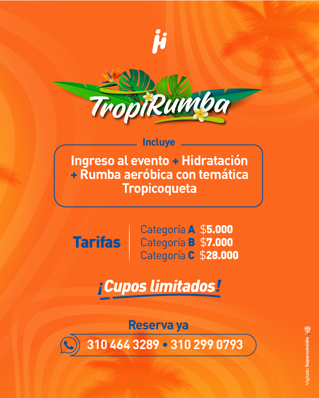 tropirumba-2